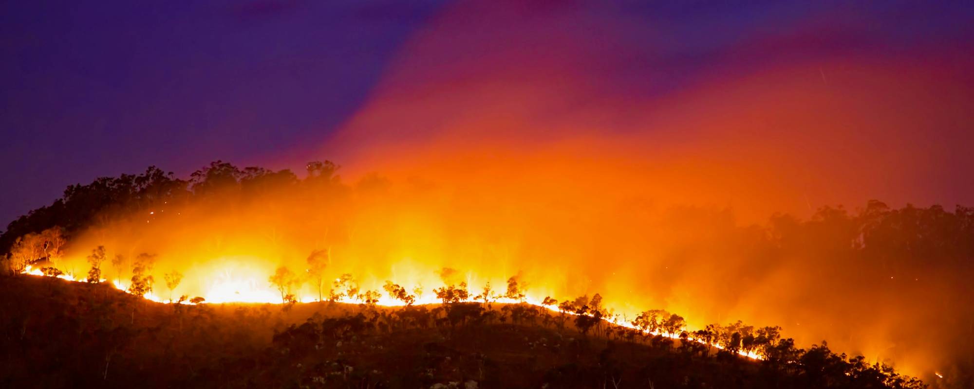 bushfire on a hill 