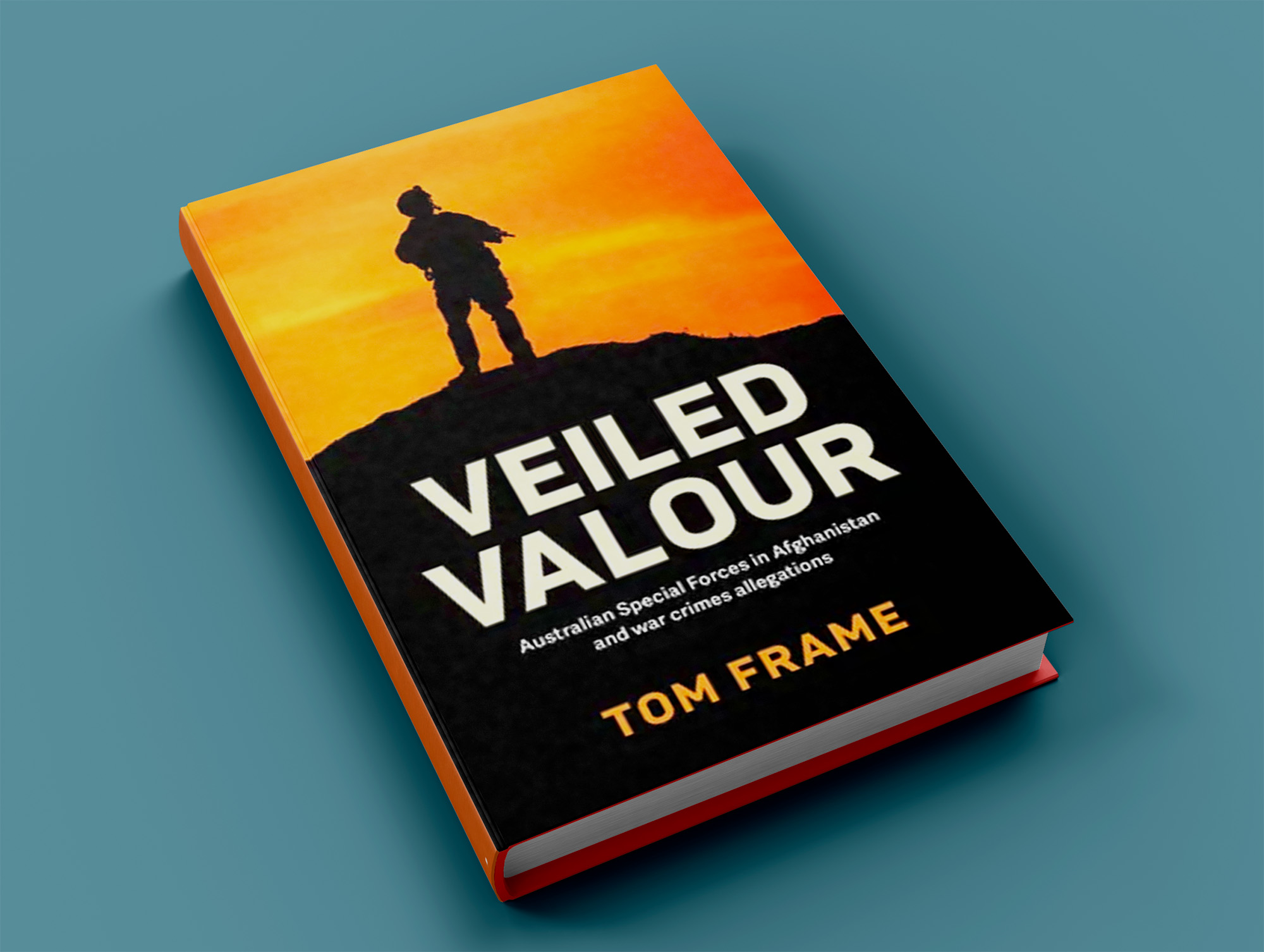 Veild Valour book cover