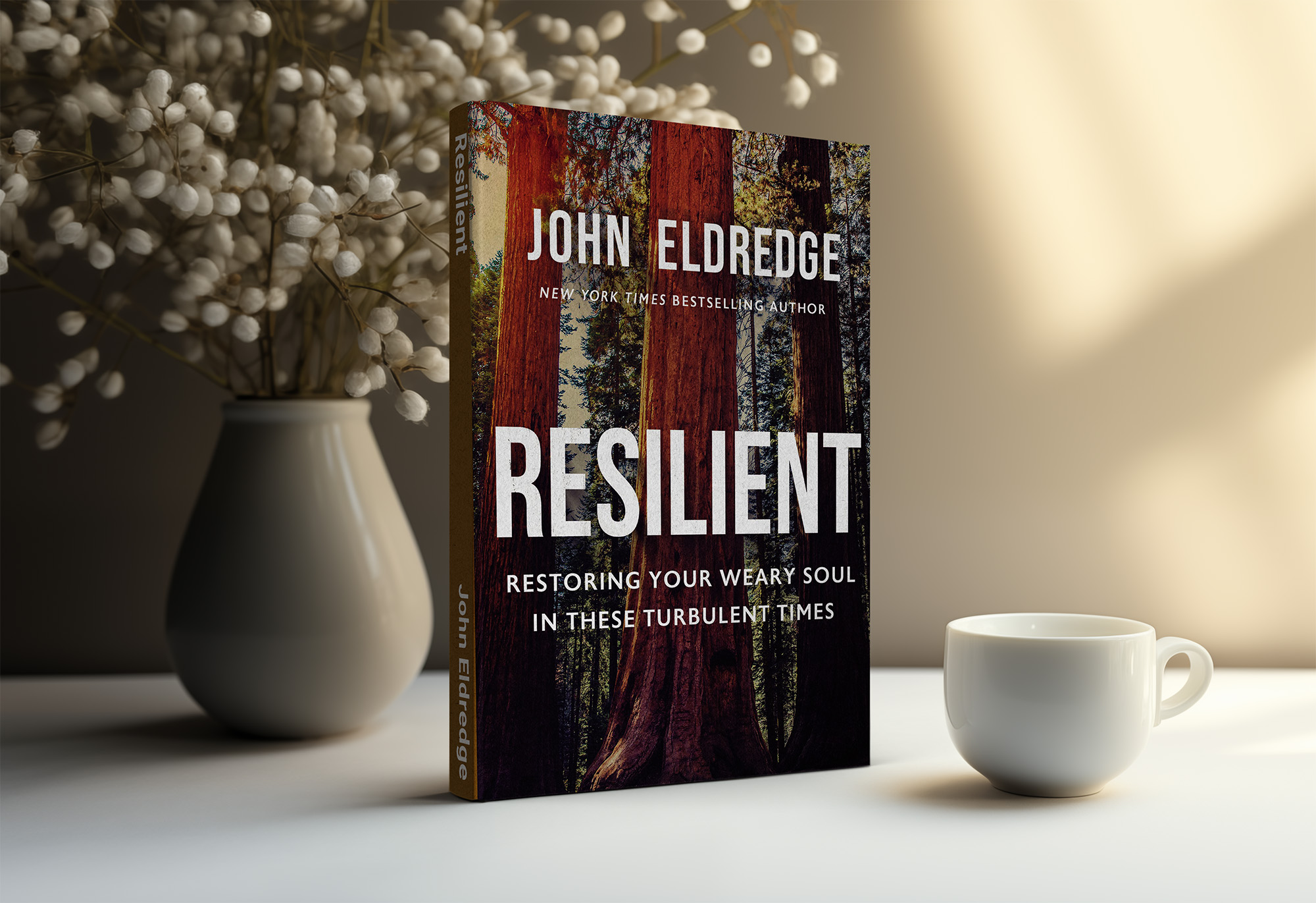 Book Cover of Resilient by John Eldredge