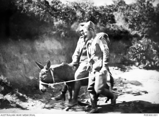PTE John Simpson Kirkpatrick leadind an ijured soldier from the front line on a donkey