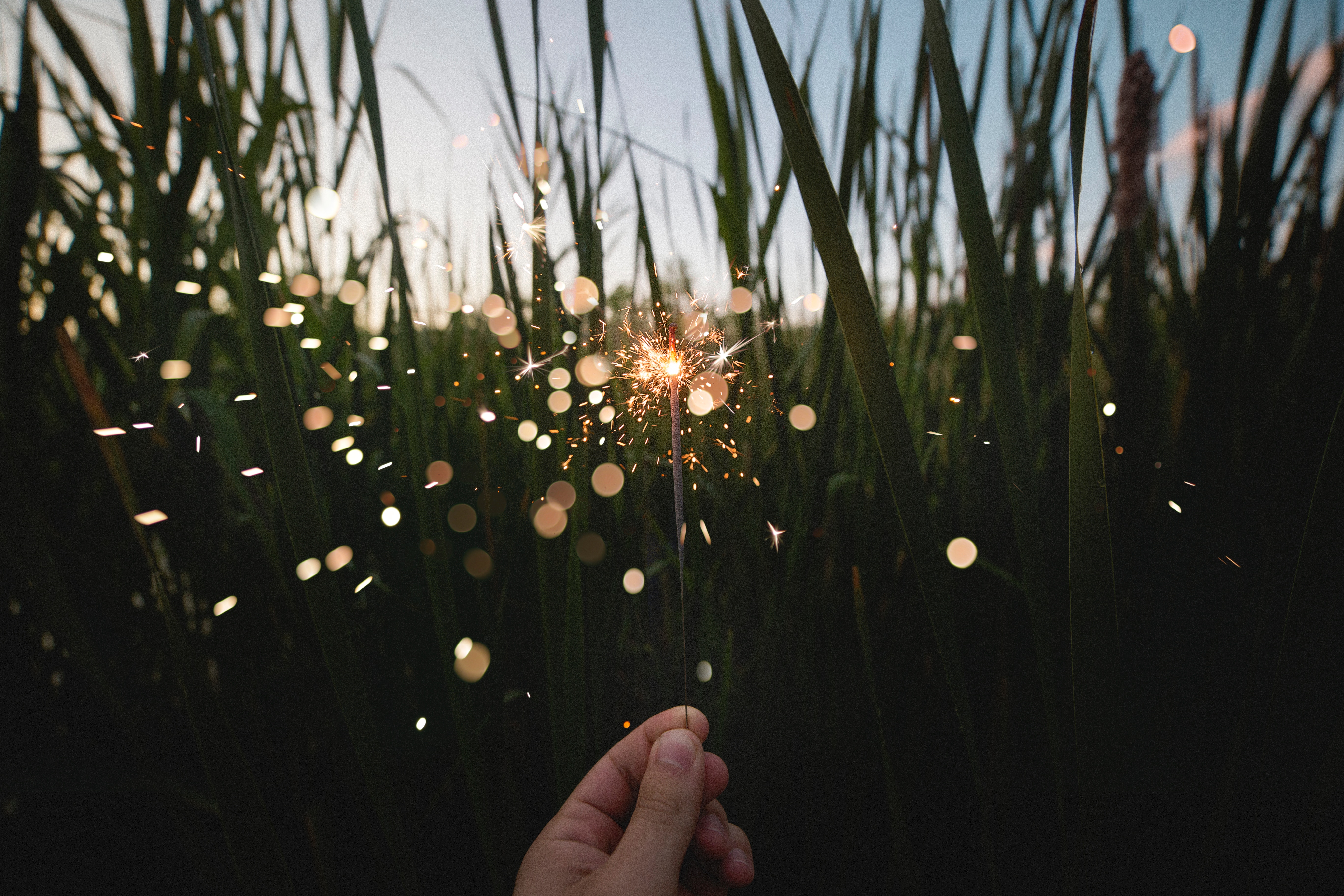 Hand holding a sparkler 