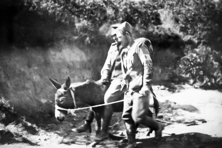 PTE John Simpson Kirkpatrick leadind an ijured soldier from the front line on a donkey