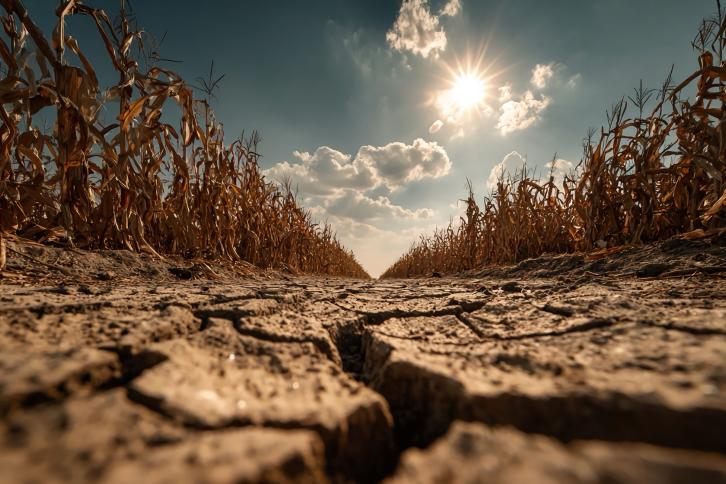 Baked and crack earth and failing crops