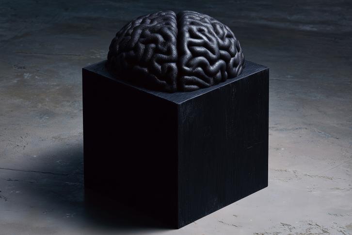 An AI Black Box