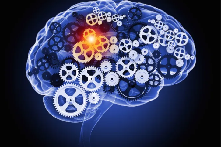 A brain filled with cogs, indicating Machine Learning and Artificial Intelligence