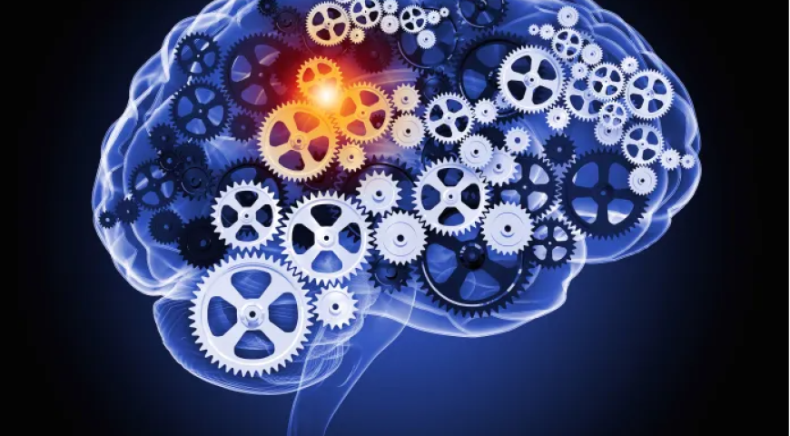 A brain filled with cogs, indicating Machine Learning and Artificial Intelligence