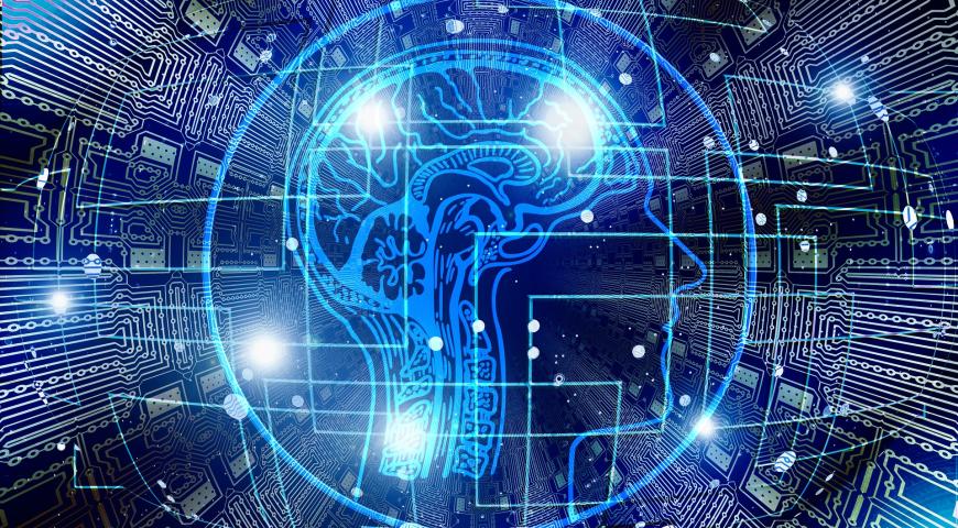 Illuminated human brain