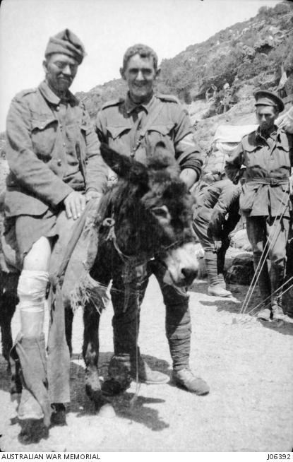 PTE John Simpson Kirkpatrick leadind an ijured soldier from the front line on a donkey
